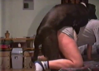 Black doggy hardly drills her tight snatch