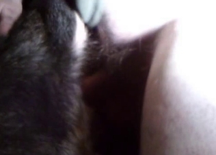 Slowly sticking my cock in doggy asshole