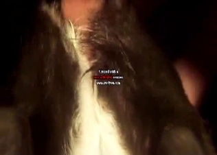 Awesome dog bestiality in close-up angle