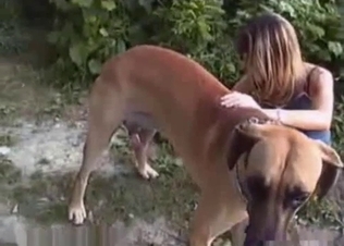 Horny mutt stalking its leggy prey