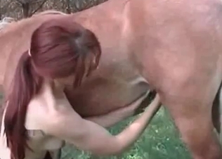 Redheaded chick jerks horse's cock
