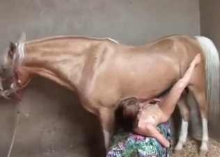 Creampie by a hardcore stallion