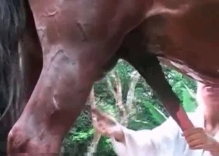 Massive horse boner for a total slut