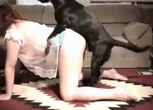 Small doggy in the gorgeous anal action