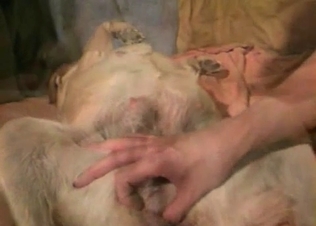 Mutt gets fucked real rough