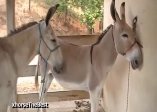 Filthy worms are filling out her tight wet cunt