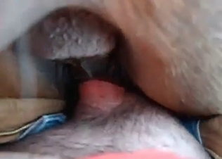 Cowgirl fuck with this small puppy