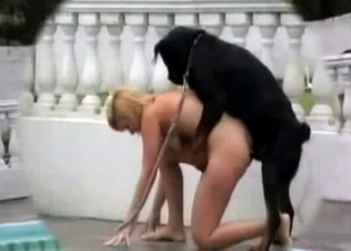 Dirty fuck with a passionate dog