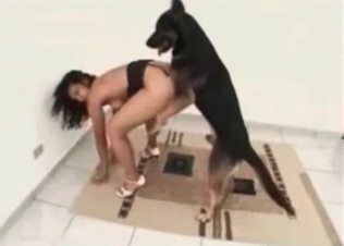 Skillful animal is fucking a model