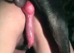 Cute babe is playing wild games with a beast