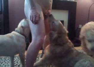 Dirty dogs and a big-dicked dude