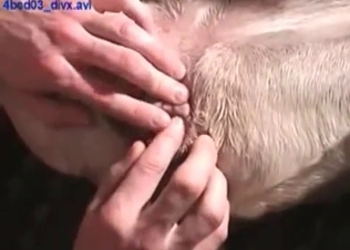 Hunter likes filthy anal sex so much