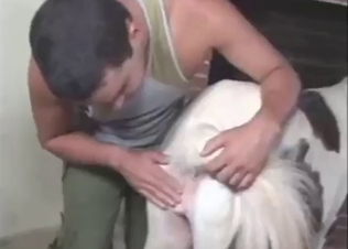Dude has a crazy hot time with a sexy mare