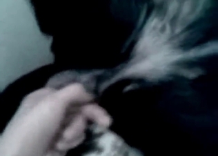 Labrador's hole gets fingered hard in a POV vid