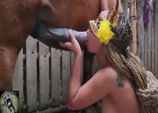 Horse-loving zoophile sucks dick and balls