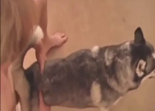 Dude uses his dick to thrust inside the dog