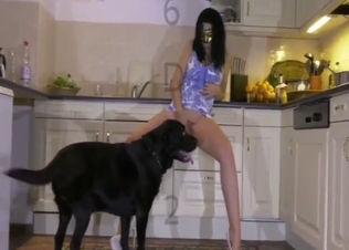 Brunette is going to get fucked from behind