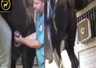 Dude from bestiality porn wants to drain balls