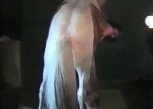 Horse cock is about to explode in his asshole