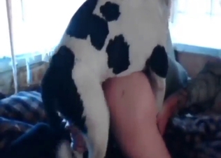 Dude with a rock-had dick fucked by a dog