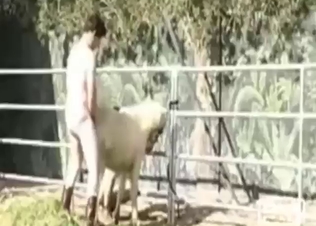 Good, thorough fuck for a horny fucking mare