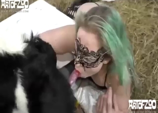 Massively popular animal porn compilation