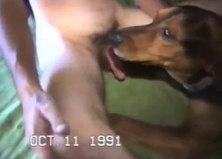 Man demonstrates the way he fucks his dog