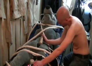 Slender, bubble-booty zoophile jacks him off