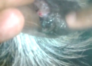 Goat's eager hole is about to open as he slides in