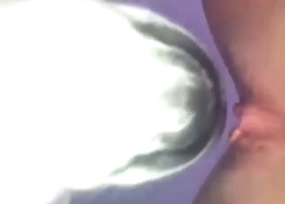 Good-looking dog with a hot tongue licks her good