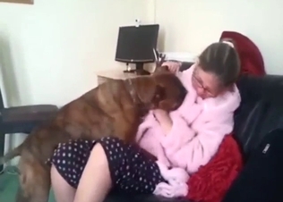 Dog is ready to hump that glasses-wearing MILF