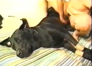 Zoo sex with a fat ass lady riding that boner