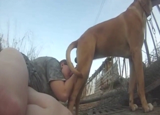 Zoophile goes on all fours to get fucked by a dog