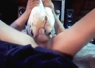 Zoo sex booty blasting for a sexy animal bottom