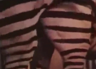 Bestiality sex tape with two zebras fucking hard