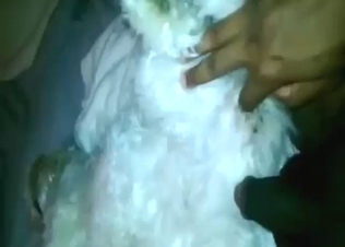 Impressive banging with a virginal dog in HQ