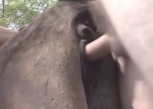 Dude is going to pound that cow outdoors, HOT