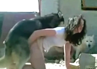 Doggystyle fuck with a messy-haired brunette