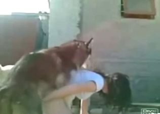 Doggystyle fuck with a messy-haired brunette