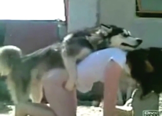 Doggystyle fuck with a messy-haired brunette