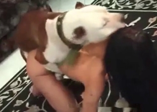 Babe with big boobs is fucking with her pet
