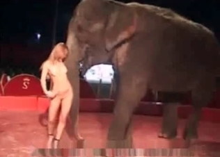 Dirty model can't stop fucking with an elephant
