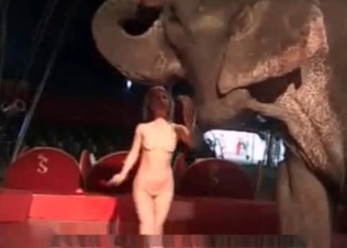 Dirty model can't stop fucking with an elephant