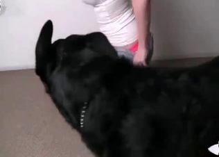 Yummy chick knows it all about animal sex