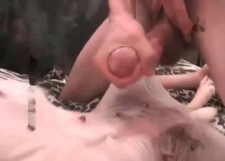 Watch this puppy getting its asshole drilled