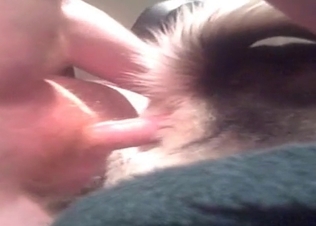 Ass fucking with a sweet dog