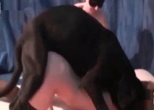Dirty animal sex for zoophiles