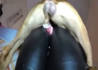 Zoo sex clip starring a Ebony lady