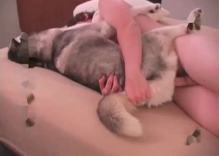 Ass fucking session with a hound