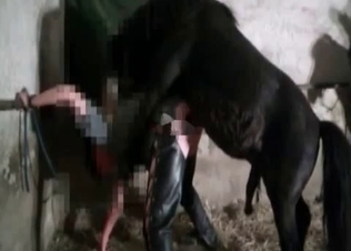 Gentle horse is practicing rough sex
